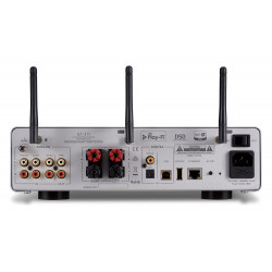 Quad Vena II Play, trasera con las conexiones y las antenas, plata