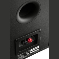 Polk Monitor XT20, trasera con puerto de graves y bornes