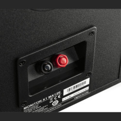 Polk Monitor XT20, detalle de los bornes de 5 vías