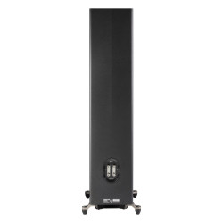 Polk Reserve R700, trasera con dos pares de bornes