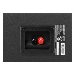 Polk Monitor XT90, detalle de los bornes traseros
